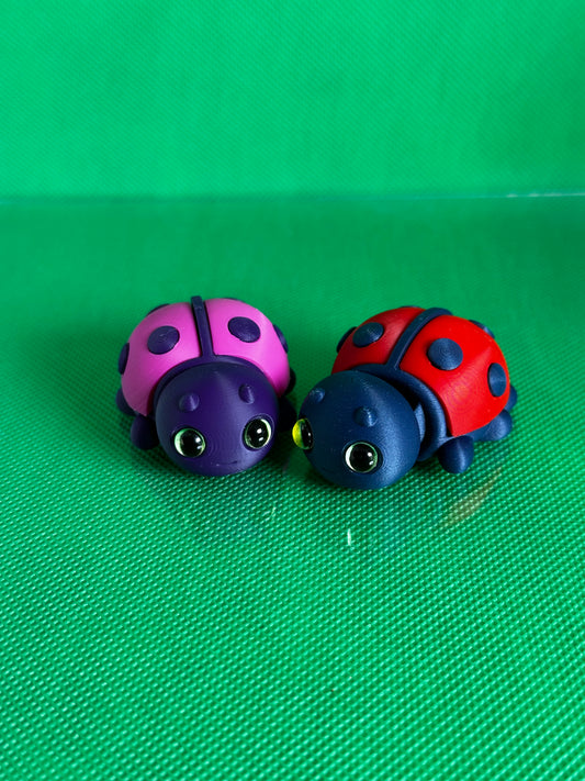 Lady Bug Magnet