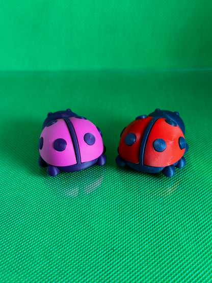 Lady Bug Magnet