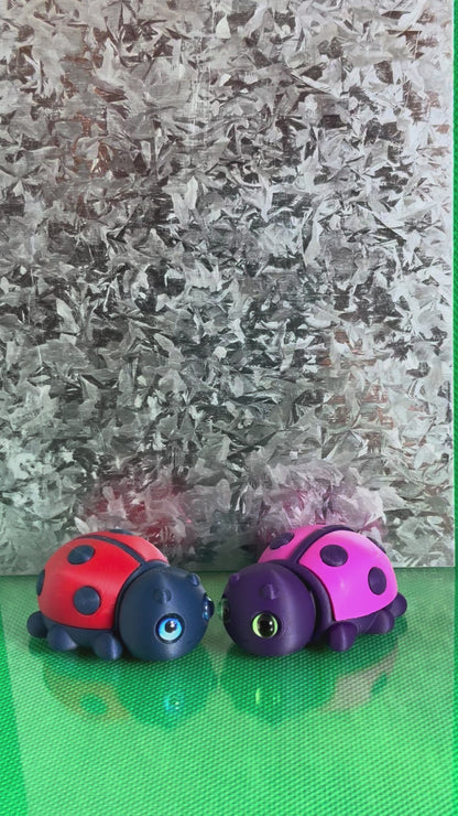 Lady Bug Magnet